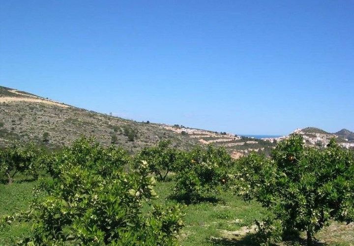 Terra a Pedreguer, Alicante, Pedreguer - € 150.000 | Ref: 683pPE - foto 1
