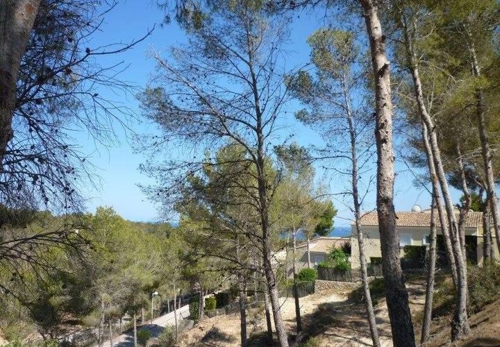 Terra a Benissa, Alicante, Benissa - € 215.000 | Ref: 829pB - foto 1