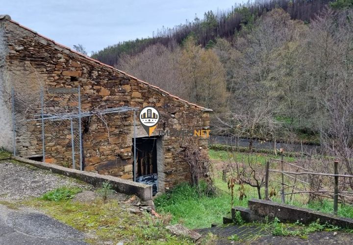 Tomt i Proenca-a-Nova, Castelo Branco, Proenca-a-Nova - € 19 500 | Ref: 2637 - foto 1