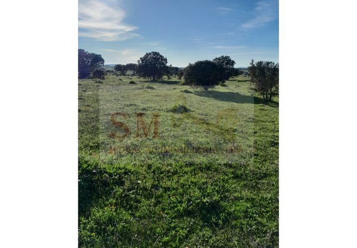 Helårsgrund i Alandroal, Evora, Alandroal - € 30.000 | Ref: SÒL_247 - foto 1