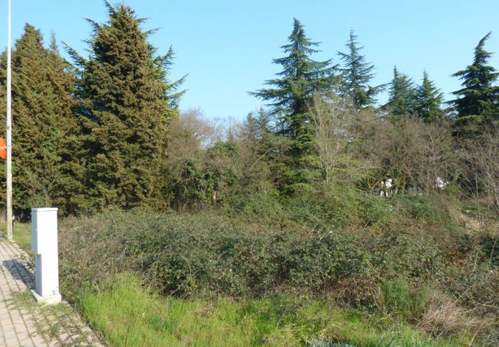 Terra a Tregnago, Verona, Tregnago - € 120.000 | Ref: 1999 - foto 1