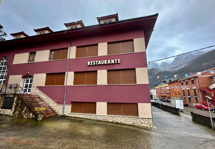 Erhvervsejendom i Aller, Asturias, Aller - € 1.000.000 | Ref: QPE00271/10606 - foto 1