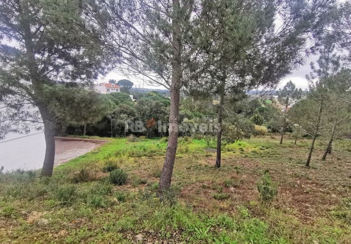 Terra a Constancia, Santarem, Constancia - € 45.000 | Ref: 01130-24 - foto 1