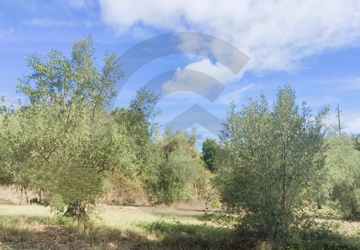 Helårsgrund i Ourem, Santarem, Ourem - € 45.000 | Ref: C0269-01720 - foto 1