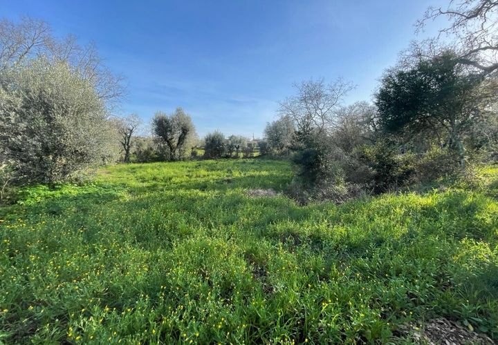 Helårsgrund i Ferreira do Zezere, Santarem, Ferreira do Zezere - € 27.000 | Ref: A102024 - foto 1
