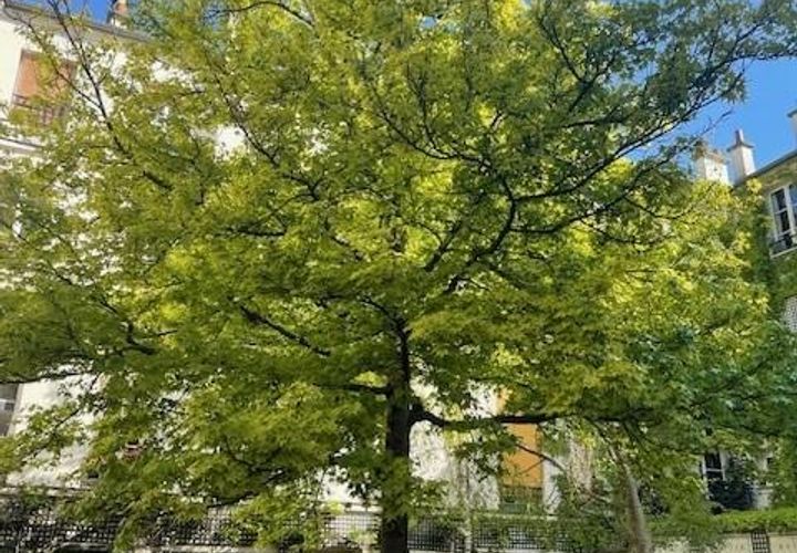 Lejlighed i Paris, Paris, Paris - € 530.000 | Ref: A5194 - foto 1