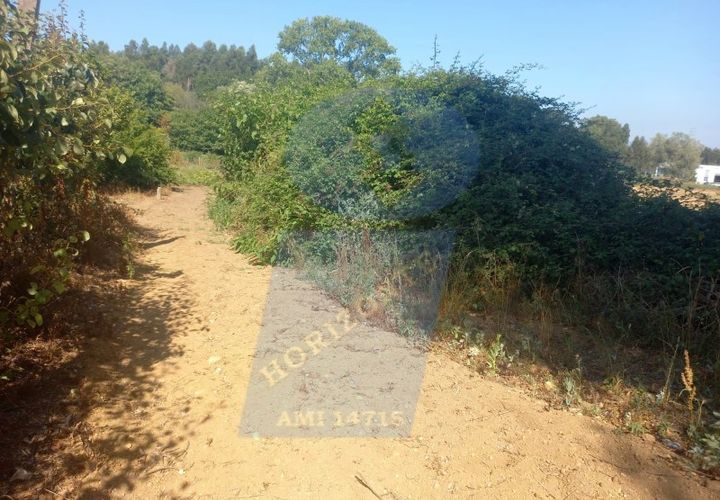 Terra a Barro, Aveiro, Barro - € 10.000 | Ref: TER_1038 - foto 1