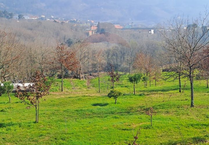 Helårsgrund i Arcos de Valdevez, Viana do Castelo, Arcos de Valdevez - € 860.000 | Ref: 1040-93 - foto 1