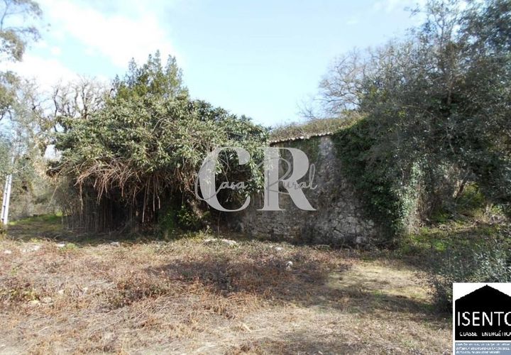 Landejendom i Ansiao, Leiria, Ansiao - € 25.000 | Ref: CR0513 - foto 1