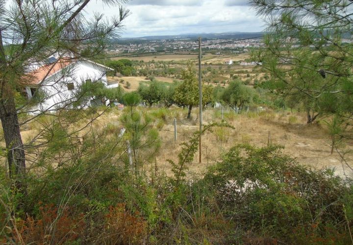 Tomt i Abrantes, Santarem, Abrantes - € 89 000 | Ref: TM86161 - foto 1