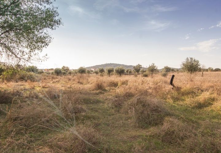 Helårsgrund i Monforte, Portalegre, Monforte - € 35.000 | Ref: M&A00116 - foto 1