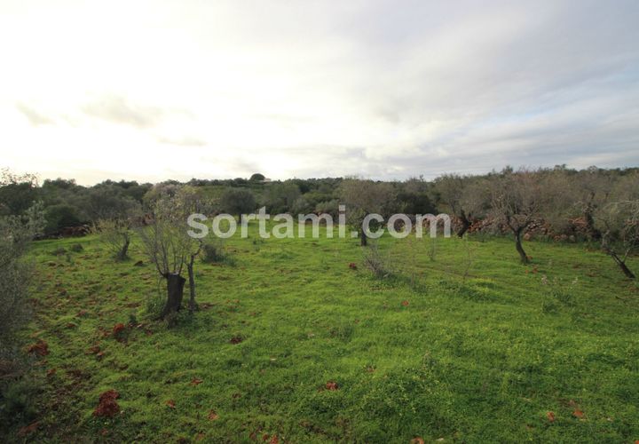 Helårsgrund i Silves, Faro, Silves - € 80.000 | Ref: Sort21588 - foto 1