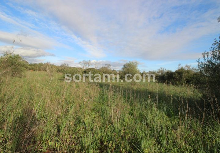 Helårsgrund i Silves, Faro, Silves - € 240.000 | Ref: Sort21589 - foto 1