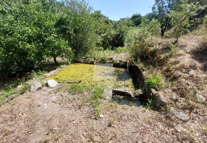 Farm hus i Monchique, Faro, Monchique - € 220.000 | Ref: 1745 - foto 1