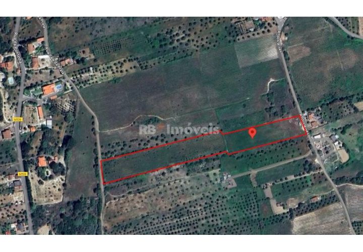Terra a Olaia e Paco, Santarem, Olaia e Paco - € 39.000 | Ref: 01140-24 - foto 1
