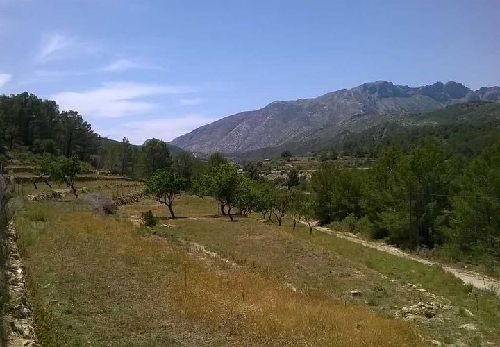Helårsgrund i Benissa, Alicante, Benissa - € 242.000 | Ref: 4278-EV/10244 - foto 1