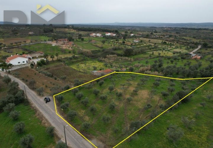 Terra a Ladoeiro, Castelo Branco, Ladoeiro - € 32.900 | Ref: 4615 - foto 1