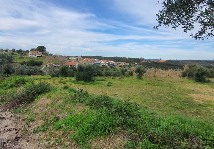 Helårsgrund i Tomar, Santarem, Tomar - € 32.000 | Ref: SÒL_233 - foto 1