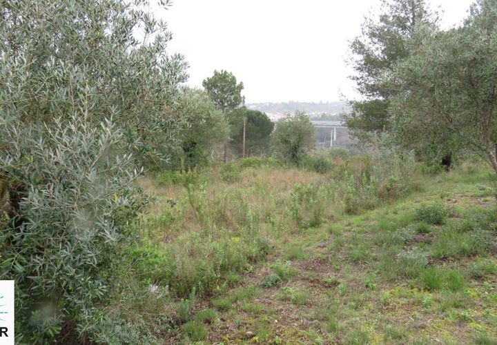 Helårsgrund i Tomar, Santarem, Tomar - € 85.000 | Ref: 00180 - foto 1