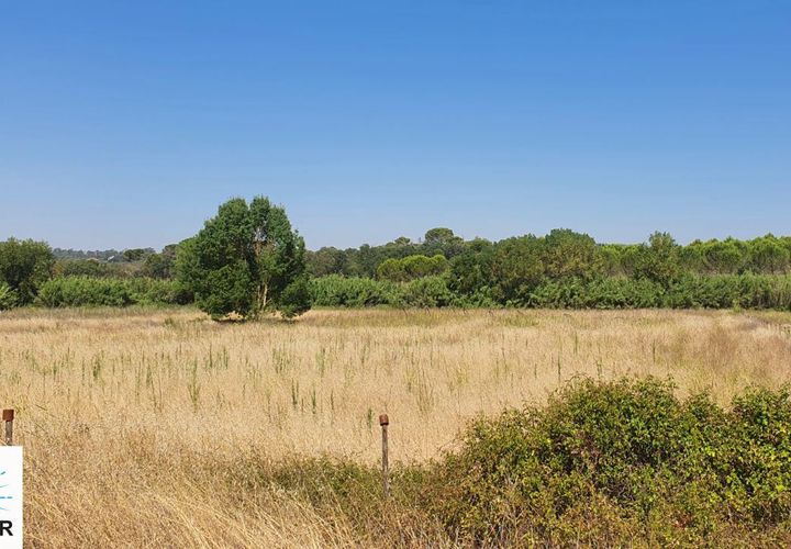 Helårsgrund i Tomar, Santarem, Tomar - € 130.000 | Ref: 00241 - foto 1