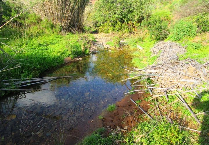 Grond in Odeleite, Faro, Odeleite - € 20.000 | Ref: 2001-133 - foto 1