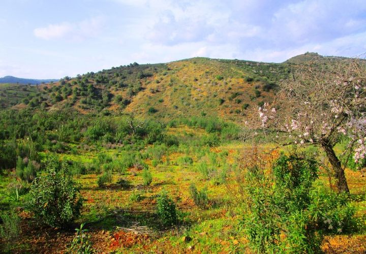 Terra a Odeleite, Faro, Odeleite - € 20.000 | Ref: 2001-132 - foto 1