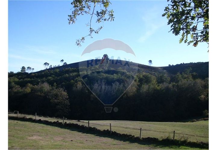 Tomt i Fafe, Braga, Fafe - € 45 000 | Ref: 123331056-130 - foto 1