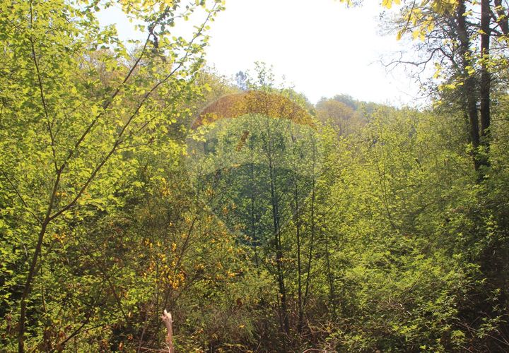 Helårsgrund i Fafe, Braga, Fafe - € 25.000 | Ref: 123331056-131 - foto 1