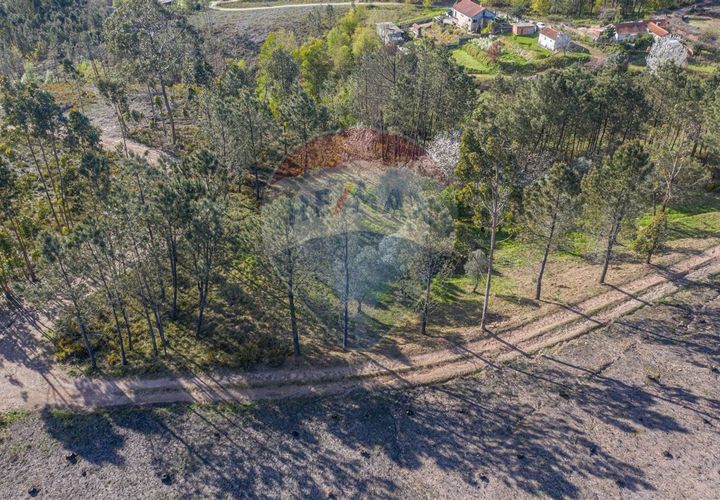 Helårsgrund i Ponte de Lima, Viana do Castelo, Ponte de Lima - € 39.000 | Ref: 123731008-82 - foto 1