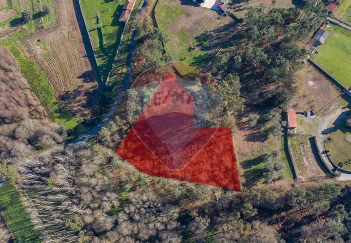 Helårsgrund i Ponte de Lima, Viana do Castelo, Ponte de Lima - € 60.000 | Ref: 123731008-301 - foto 1