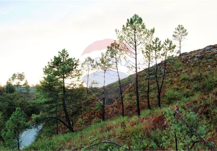 Helårsgrund i Fafe, Braga, Fafe - € 22.500 | Ref: 123331056-133 - foto 1