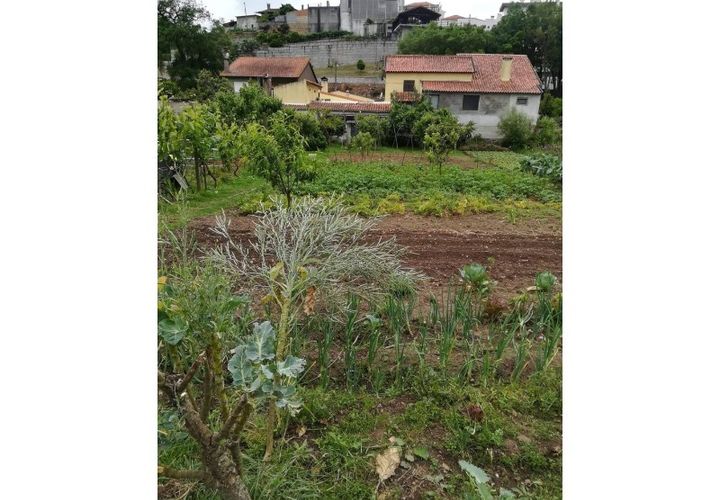 Helårsgrund i Agueda, Aveiro, Agueda - € 33.500 | Ref: TER_575 - foto 1