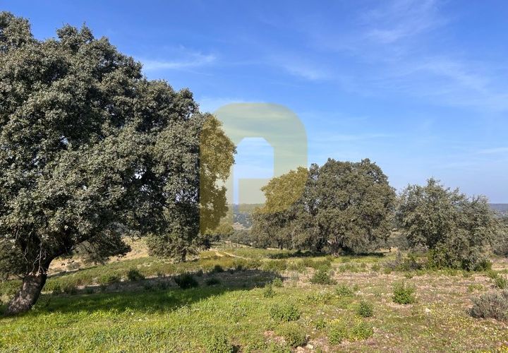 Landejendom i Rosmaninhal, Castelo Branco, Rosmaninhal - € 900.000 | Ref: PB2024386 - foto 1