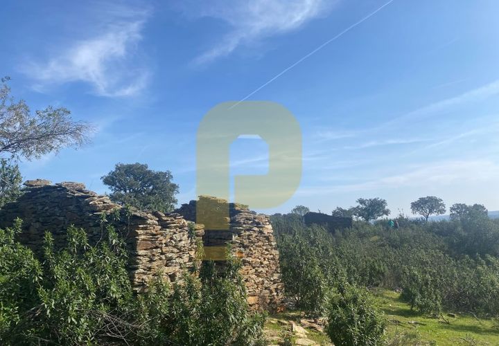 Helårsgrund i Rosmaninhal, Castelo Branco, Rosmaninhal - € 90.000 | Ref: PB2024384 - foto 1