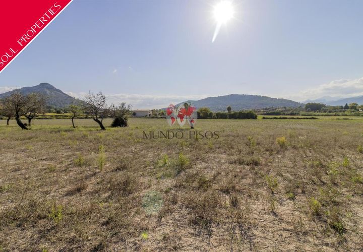 Terra a Alcudia, Mallorca, Alcudia - € 989.000 | Ref: S128 - foto 1