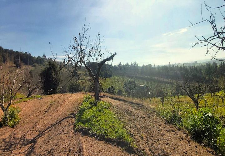 Helårsgrund i Bombarral, Leiria, Bombarral - € 125.000 | Ref: 3133-TUPG - foto 1