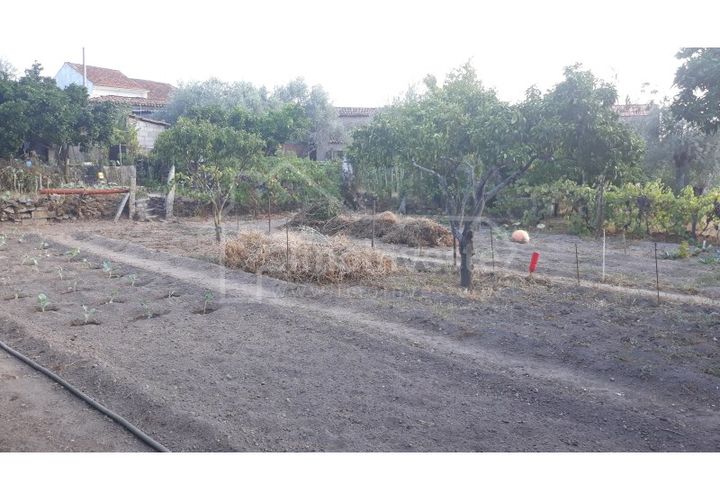 Terra a Alcains, Castelo Branco, Alcains - € 40.000 | Ref: TER_303 - foto 1