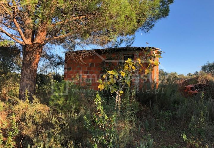 Terra a Ninho do Acor, Castelo Branco, Ninho do Acor - € 7.000 | Ref: SÒL_856 - foto 1