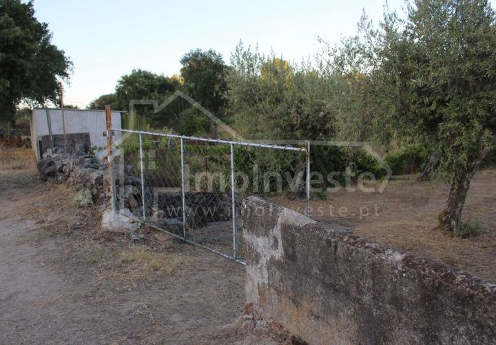 Helårsgrund i Castelo Branco, Castelo Branco, Castelo Branco - € 18.000 | Ref: SÒL_801 - foto 1
