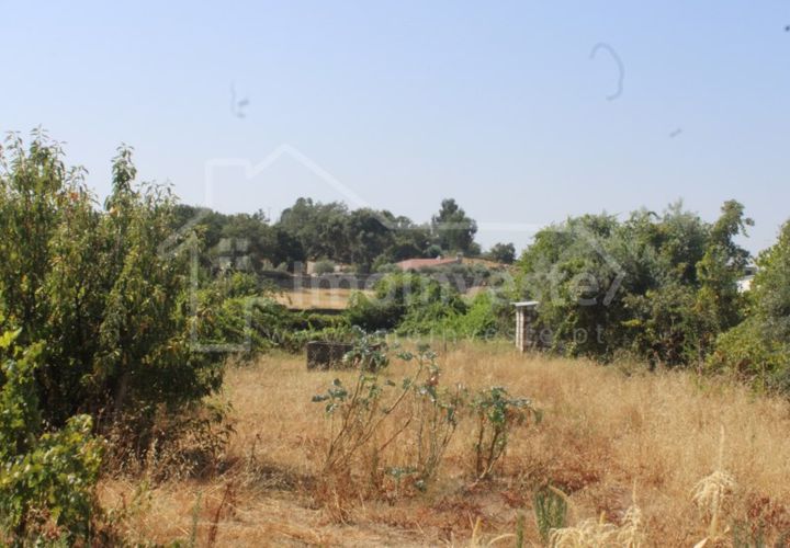 Terra a Alcains, Castelo Branco, Alcains - € 36.000 | Ref: 1141 - foto 1
