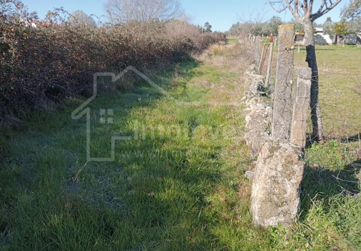 Terra a Ninho do Acor, Castelo Branco, Ninho do Acor - € 7.500 | Ref: SÒL_886 - foto 1