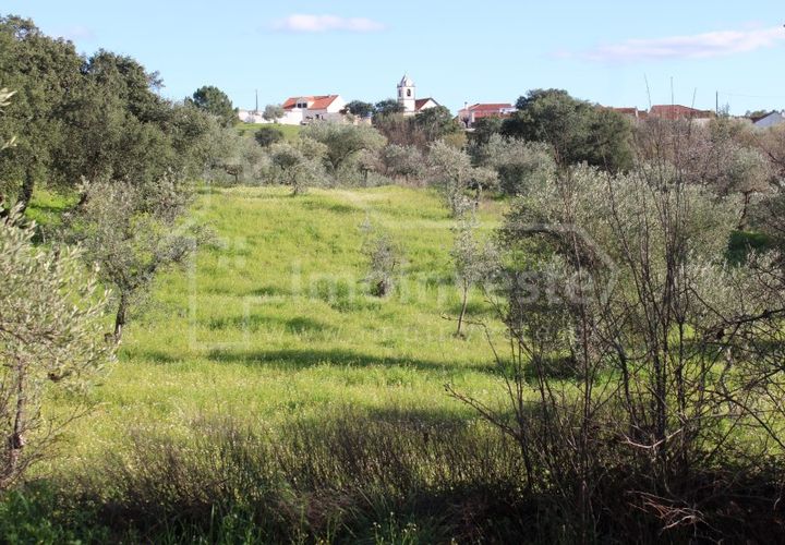 Tomt i Ninho do Acor, Castelo Branco, Ninho do Acor - € 12 500 | Ref: SÒL_866 - foto 1