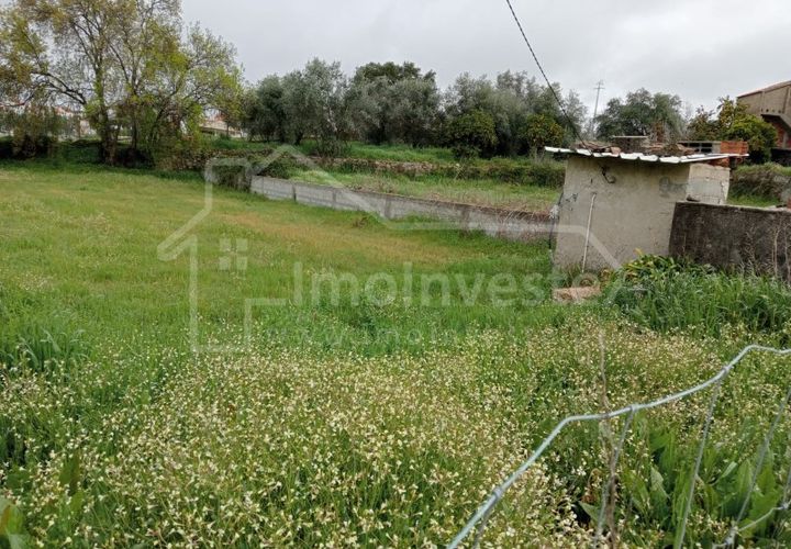Terra a Ninho do Acor, Castelo Branco, Ninho do Acor - € 19.500 | Ref: SÒL_896 - foto 1