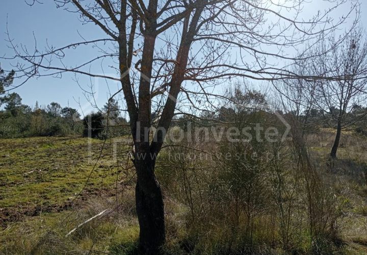Tomt i Ninho do Acor, Castelo Branco, Ninho do Acor - € 12 000 | Ref: SÒL_885 - foto 1