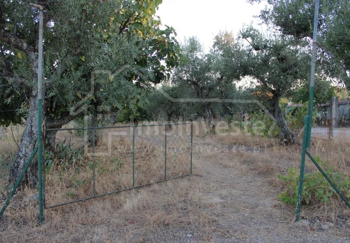 Helårsgrund i Castelo Branco, Castelo Branco, Castelo Branco - € 18.000 | Ref: SÒL_802 - foto 1