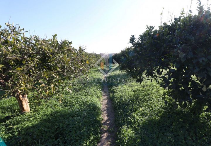 Helårsgrund i Mineo, Catania, Mineo - € 55.000 | Ref: DNTGNL2024 - foto 1