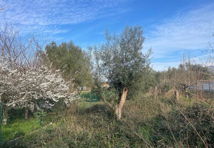 Helårsgrund i Ponte de Lima, Viana do Castelo, Ponte de Lima - € 45.000 | Ref: MDS3988 - foto 1