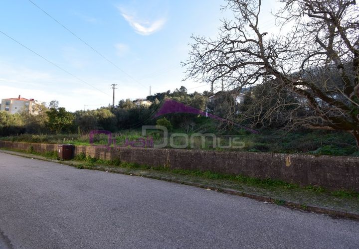 Terra em Minde, Santarem, Minde - € 41.500 | Ref: 2314 - foto 1