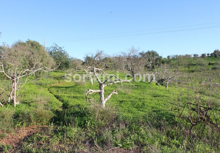 Helårsgrund i Lagoa, Faro, Lagoa - € 200.000 | Ref: Sort21284 - foto 1