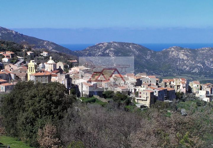 Terra a Cateri, Haute-Corse, Cateri - € 555.900 | Ref: 4889978 - foto 1